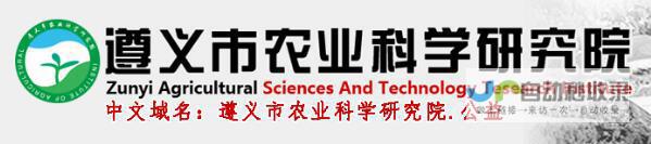 遵义网站建设：打造企业在线形象，提升品牌影响力